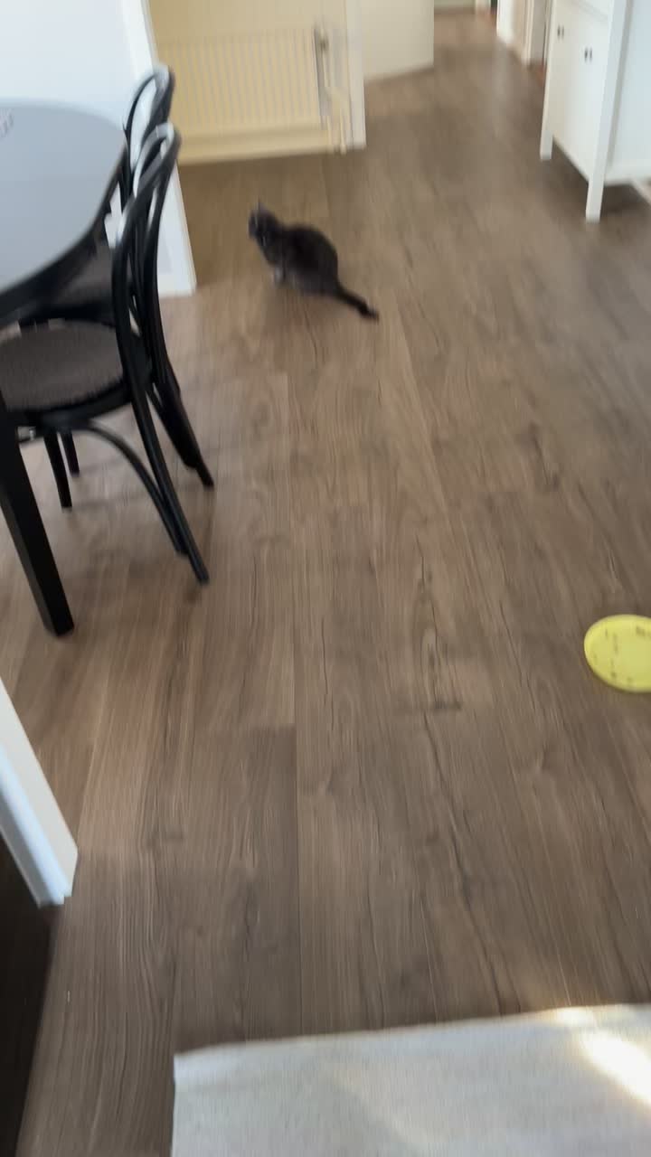 @ronnyolga