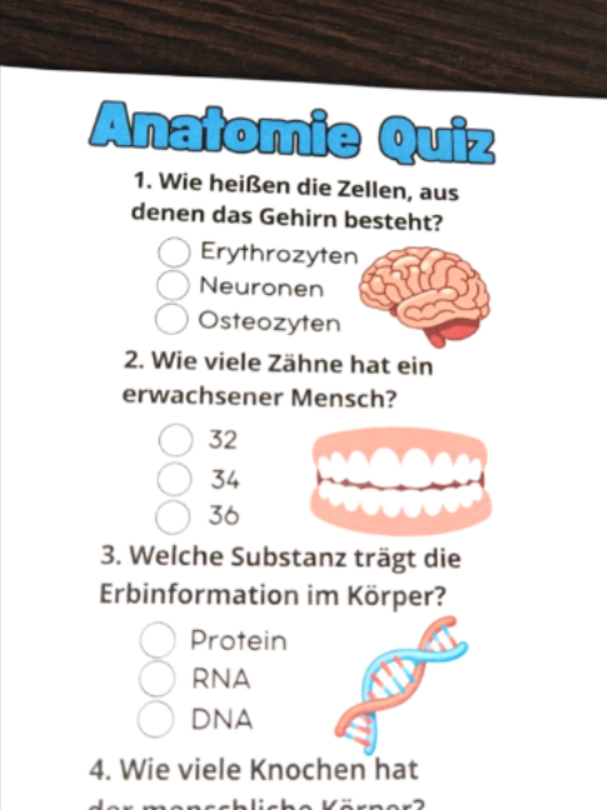 @Wissen Blitz🇩🇪