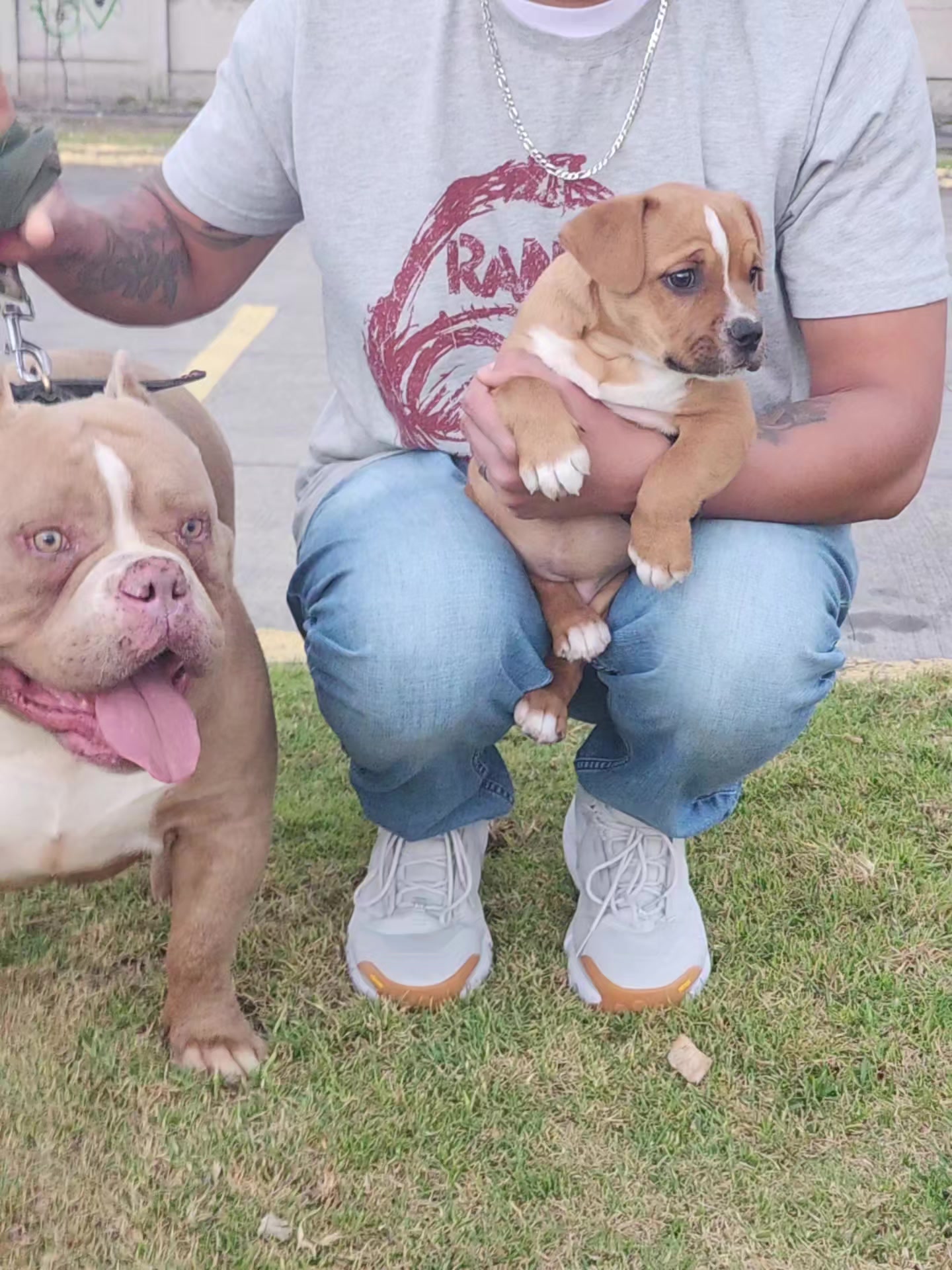@Kratos kennel
