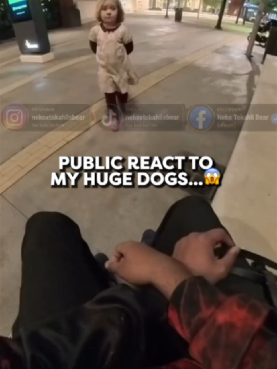 @Go Fetch