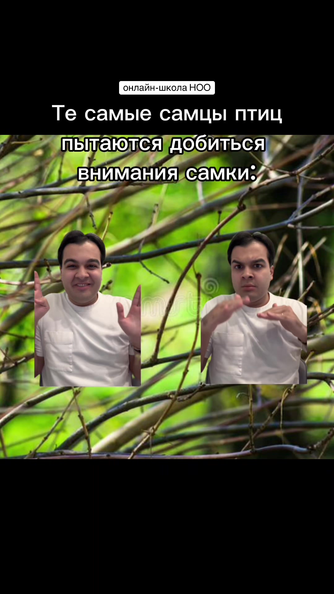 @Асиф Агаев / Биология ЕГЭ