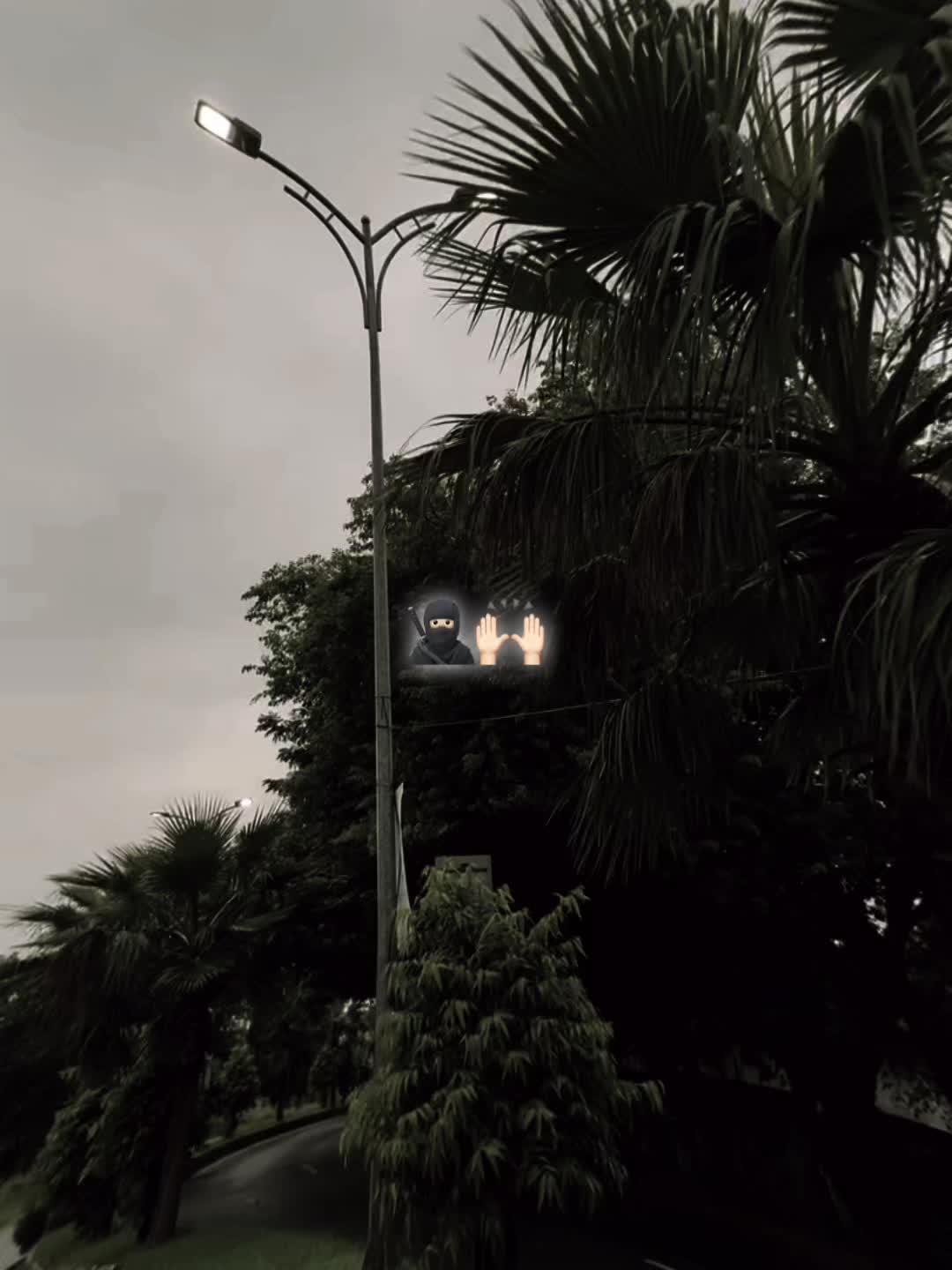 @ARAYAIN