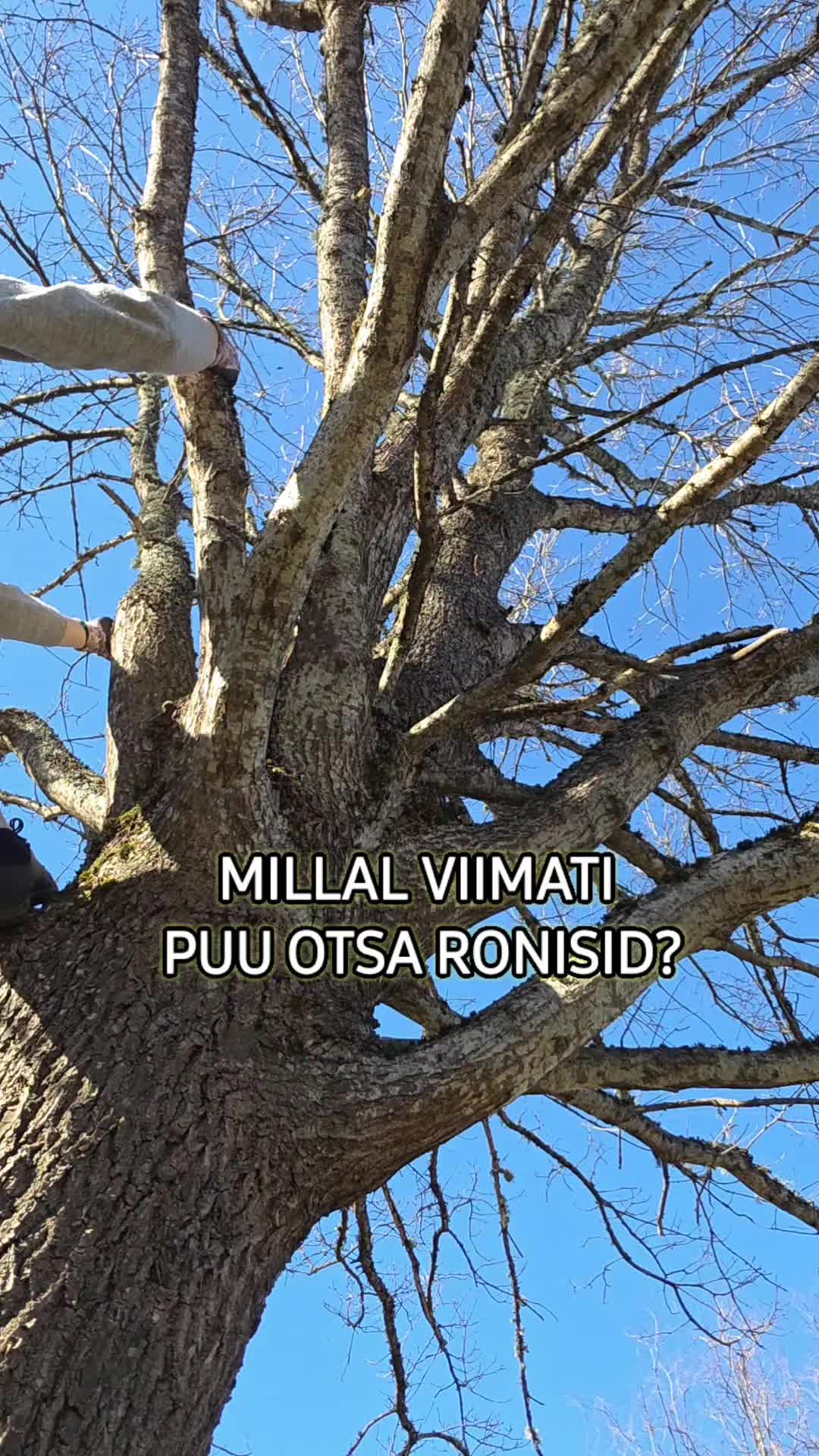 @NAERATUSE MILJONÄR