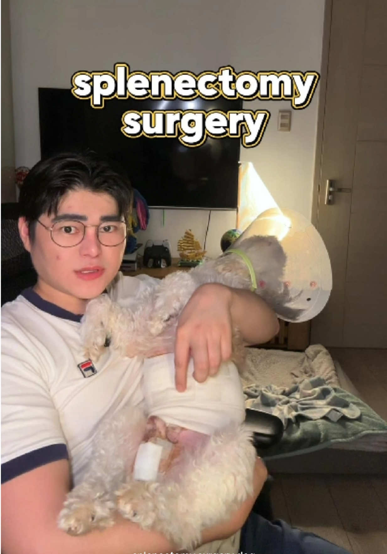 @DeejimonTV 🧿