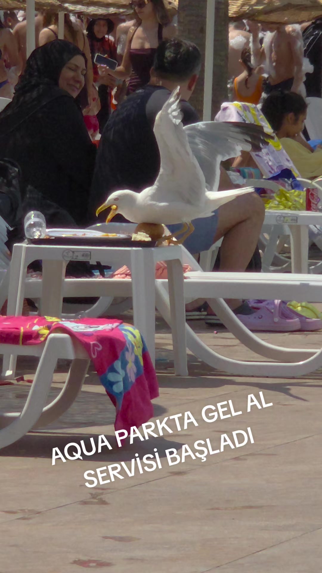 @Tanju şimşek