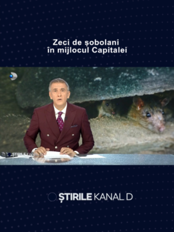 @Stirile Kanal D