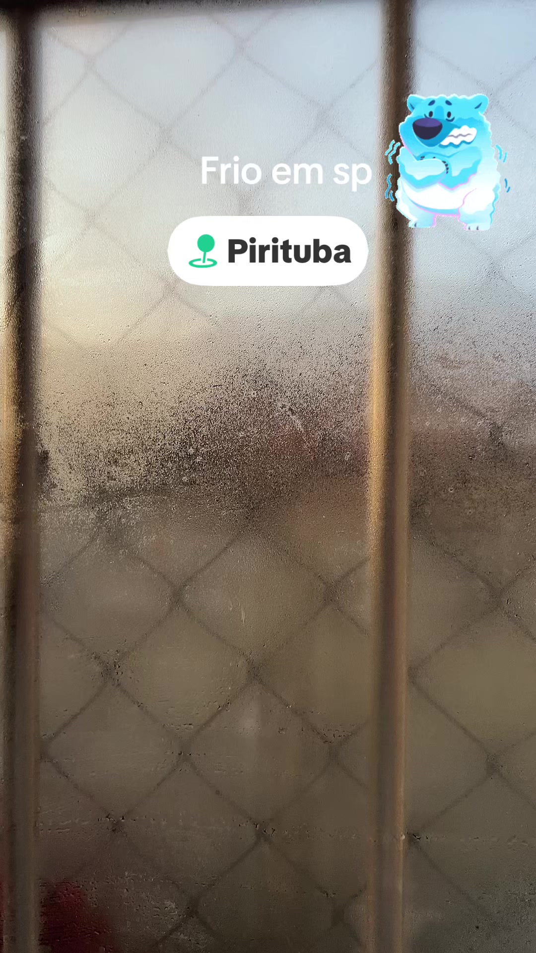 @⚡️&Iacute;LMA MOURA🐈🦁