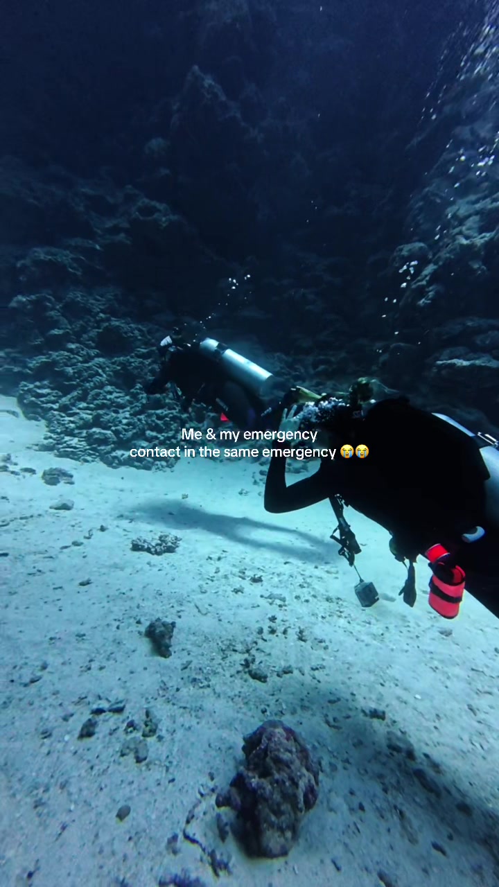 @fishandkits