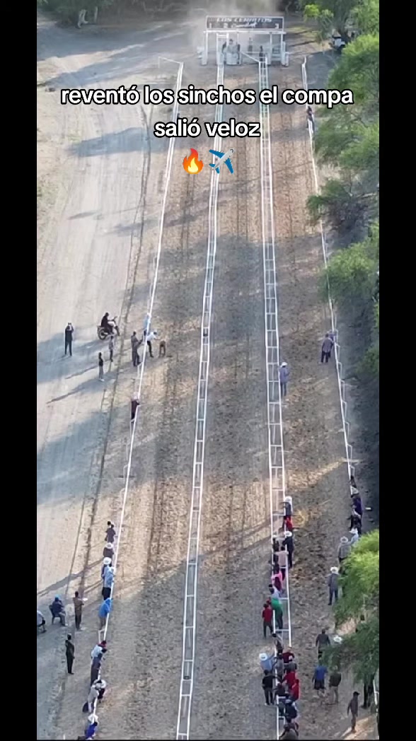 @carriles altos de jalisco🐎