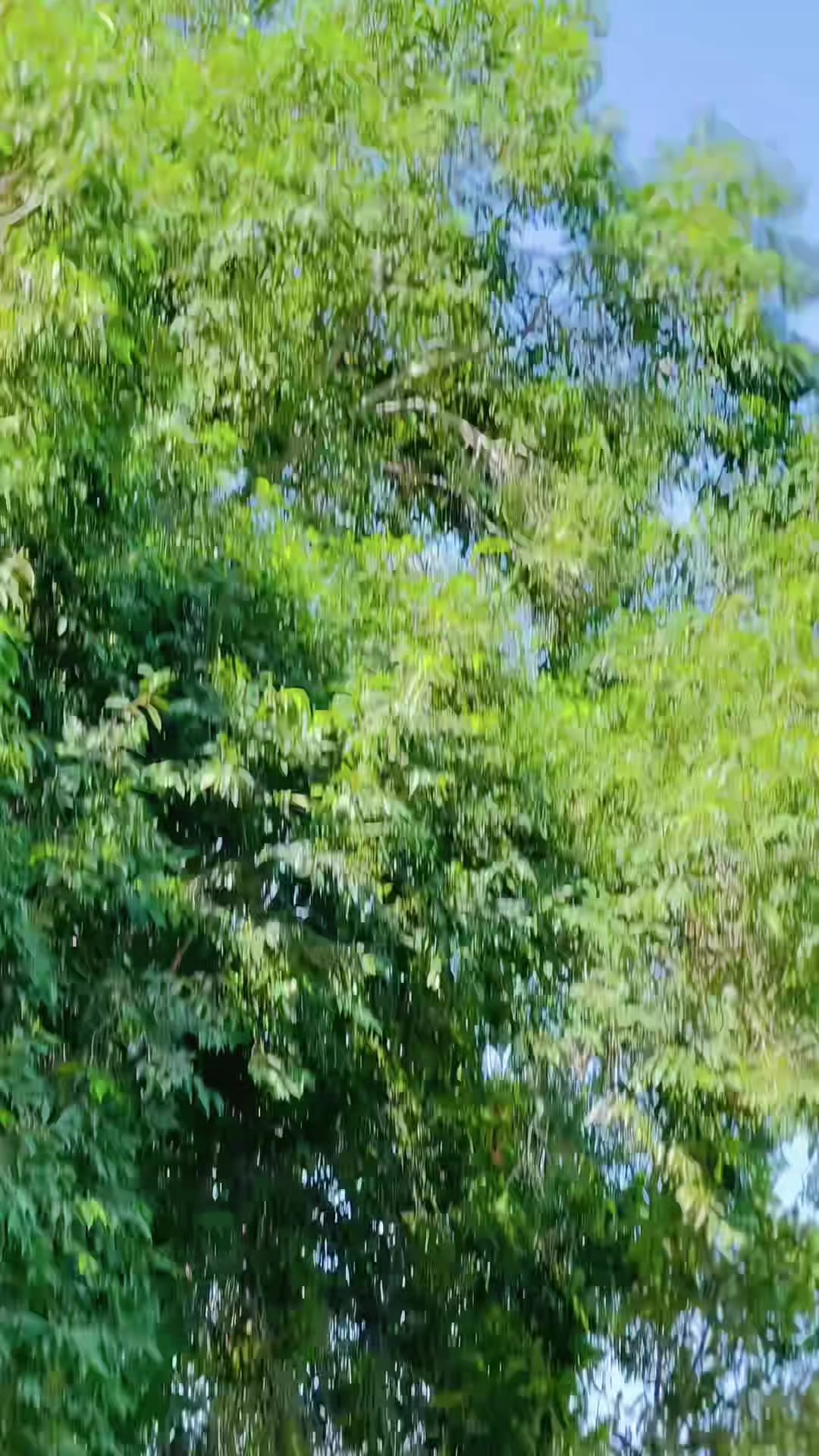 @آفریدی 🦅