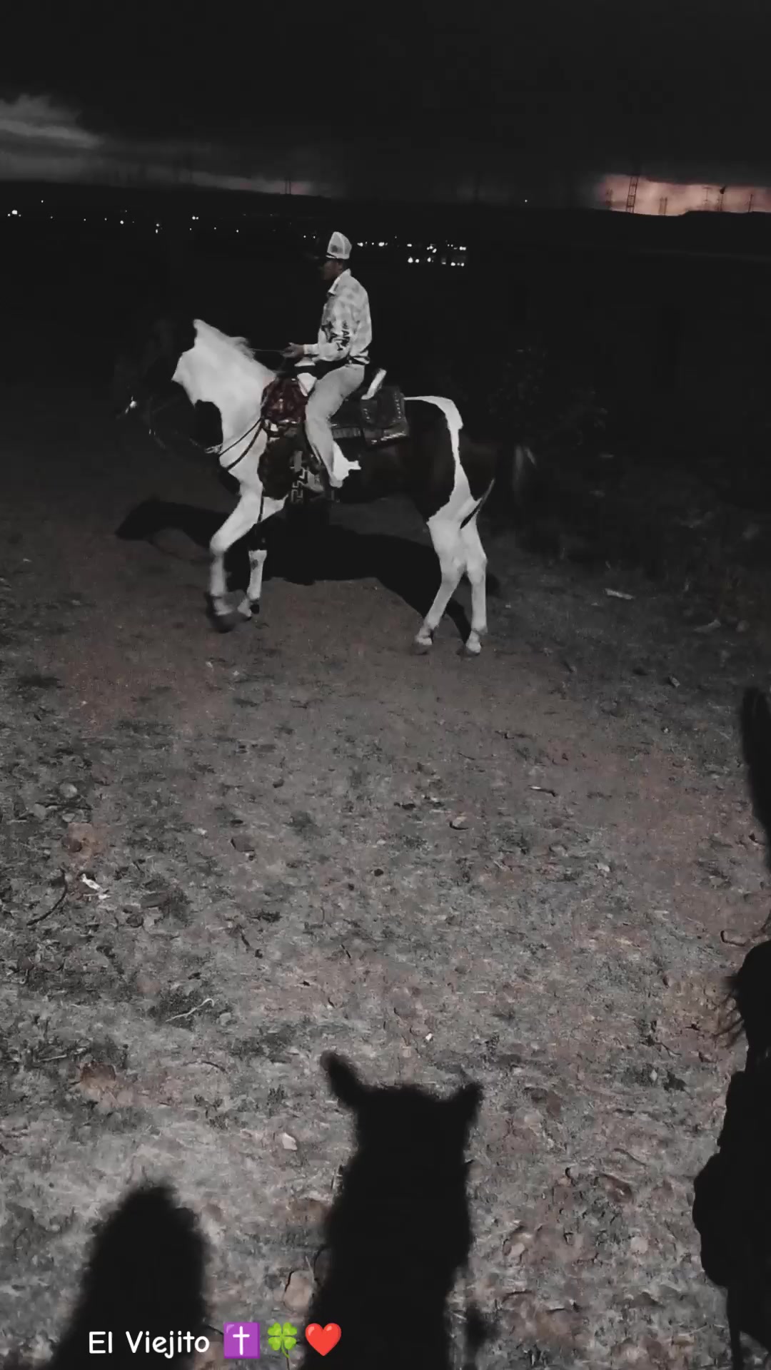 @Viejito Cordova✝️🍀❤️🐎🦅