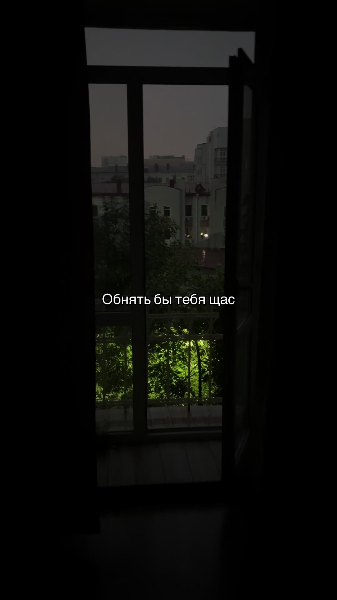 @zalu365