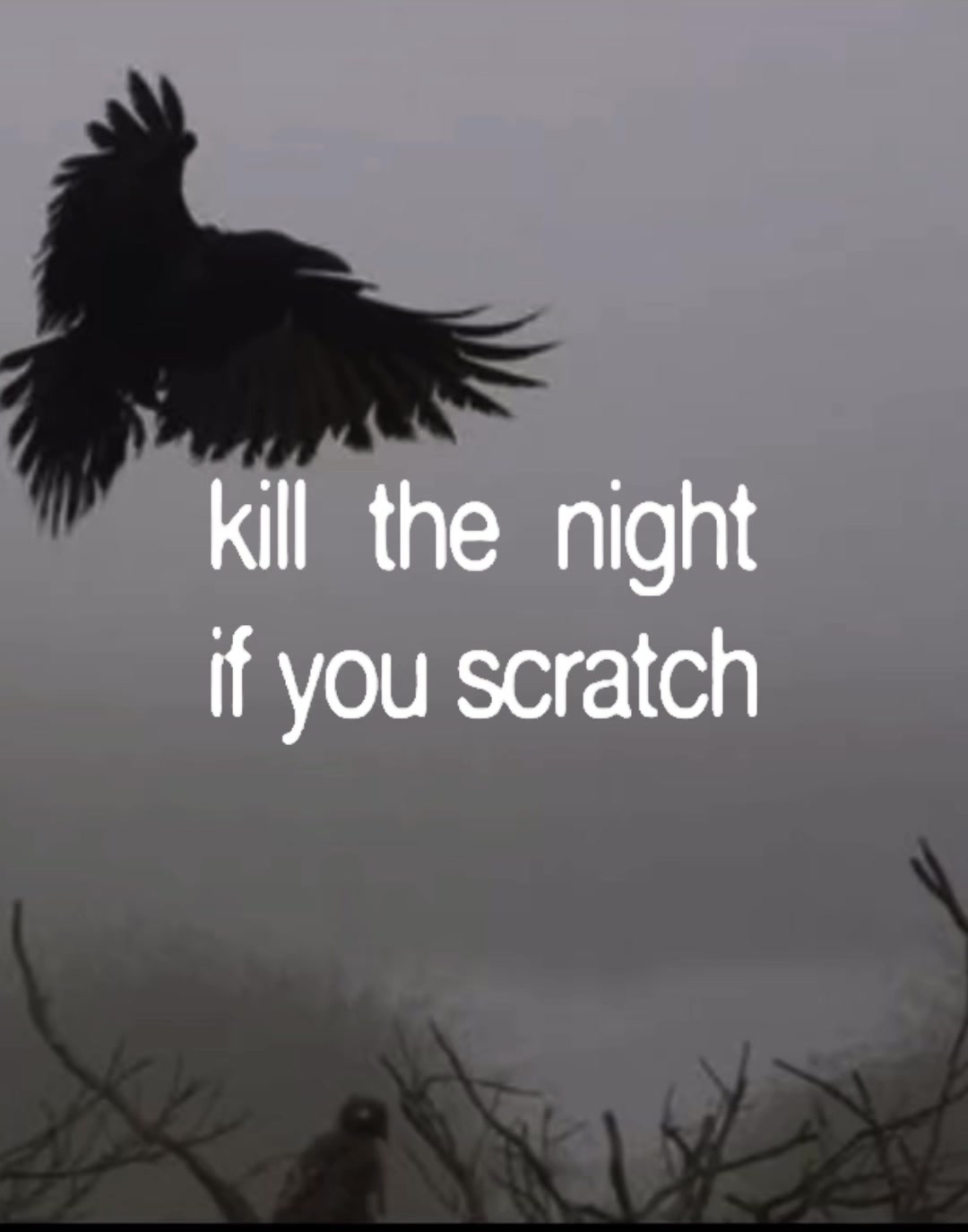 @loveshy_lyrics