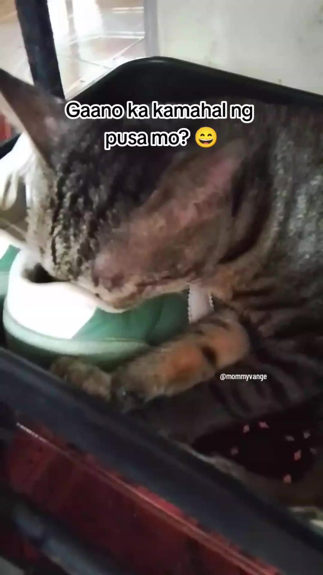 @mommyvange