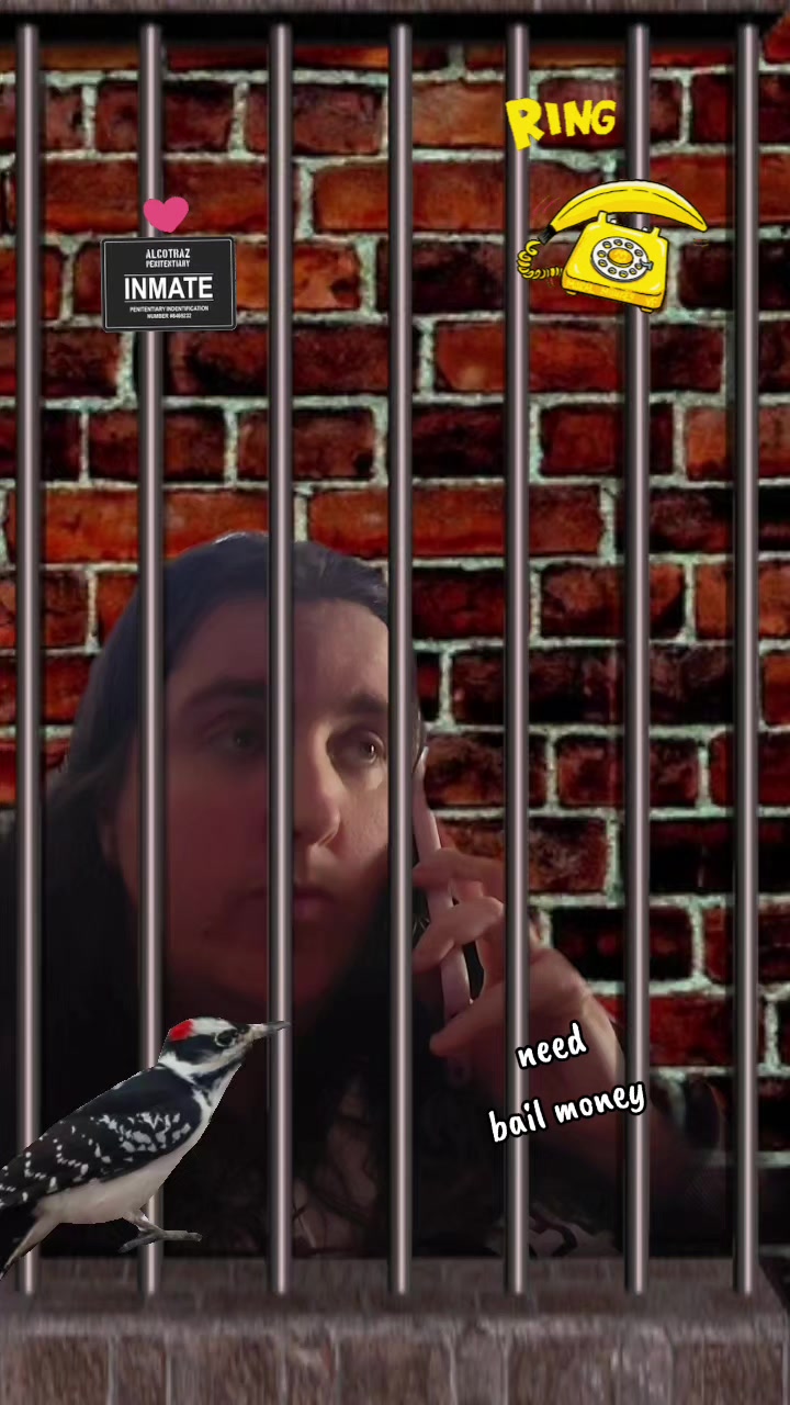 @๐ฆ๐บโขโโกโโโโโโ๐ฆ๐บ
