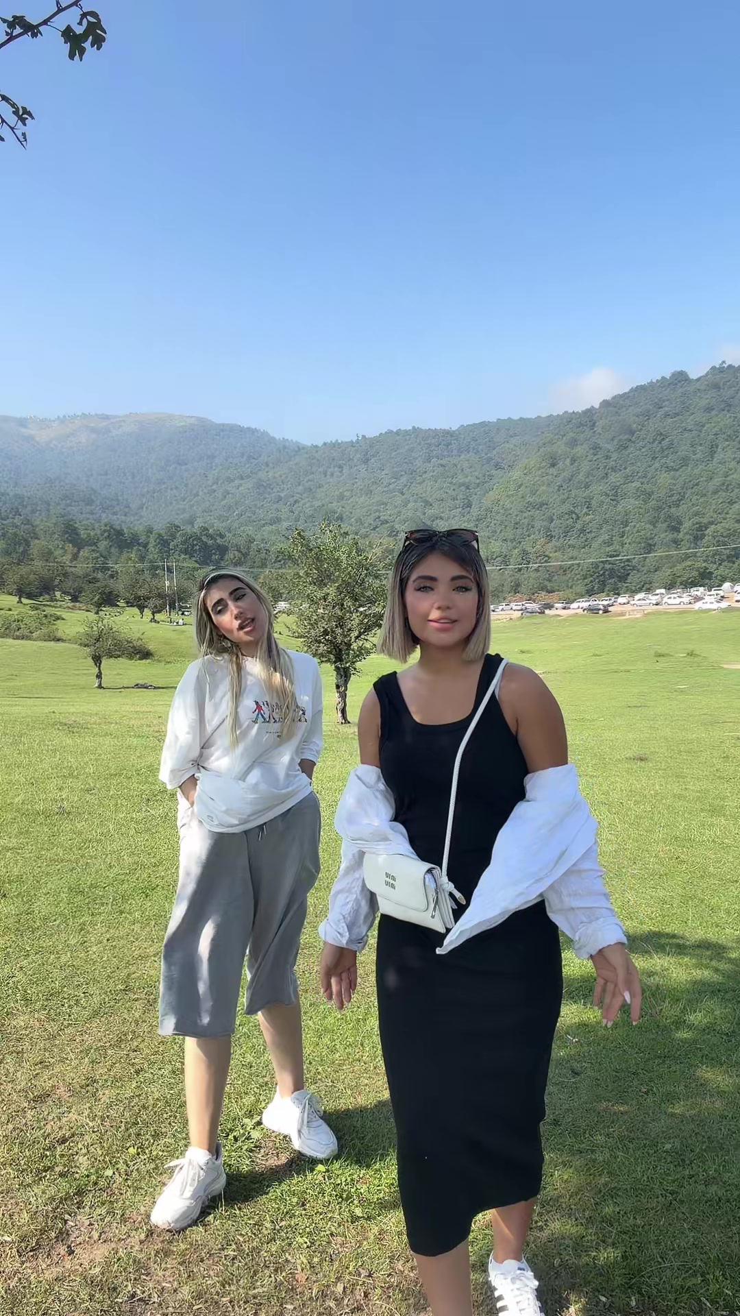 @manashakibi
