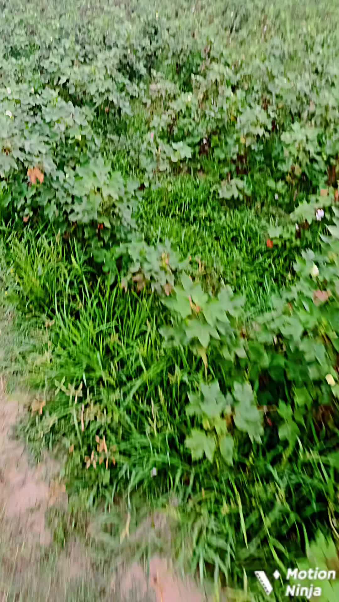 @𝗩 𝗶 𝘃 𝗲𝗼𝗻 🐍