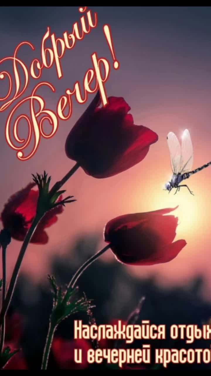 @Виолетта