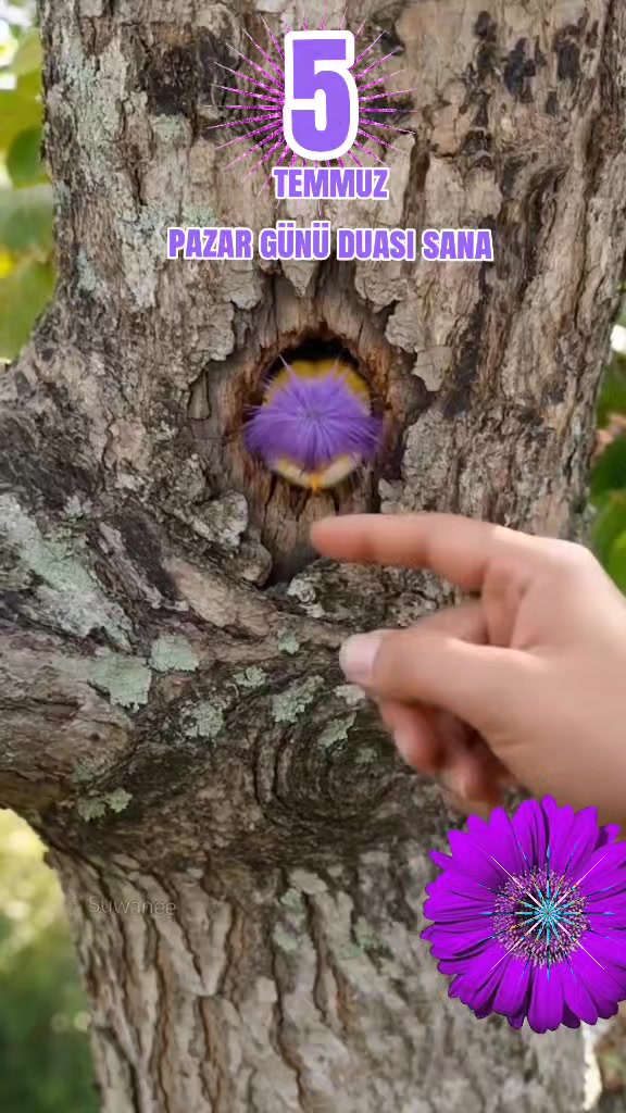 @💚NAKŞİ💜AİLESİ💚EBAG&Uuml;L🥀