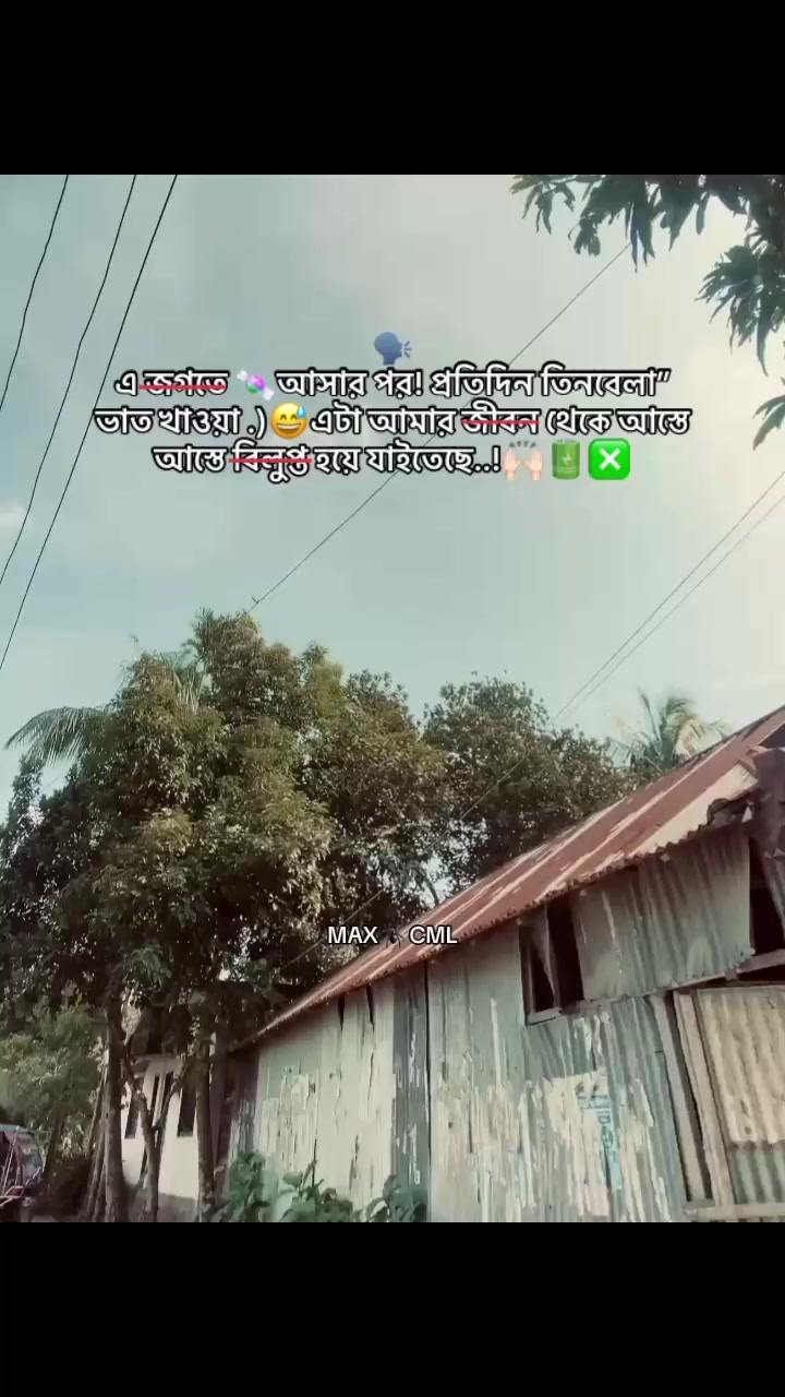 @MAX 🕷️ CML