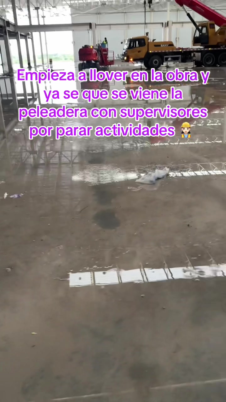 @Ale Moreno Ochoa