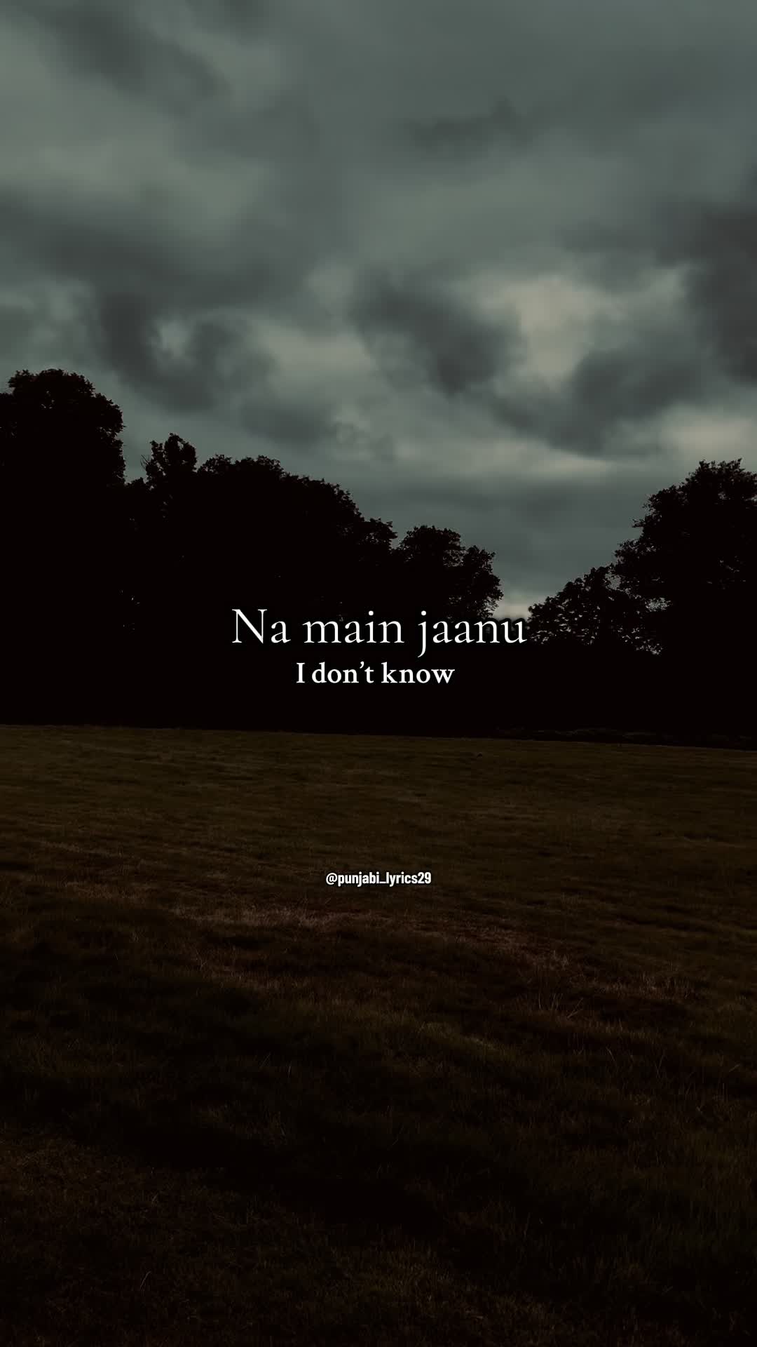 @punjabi_lyrics29
