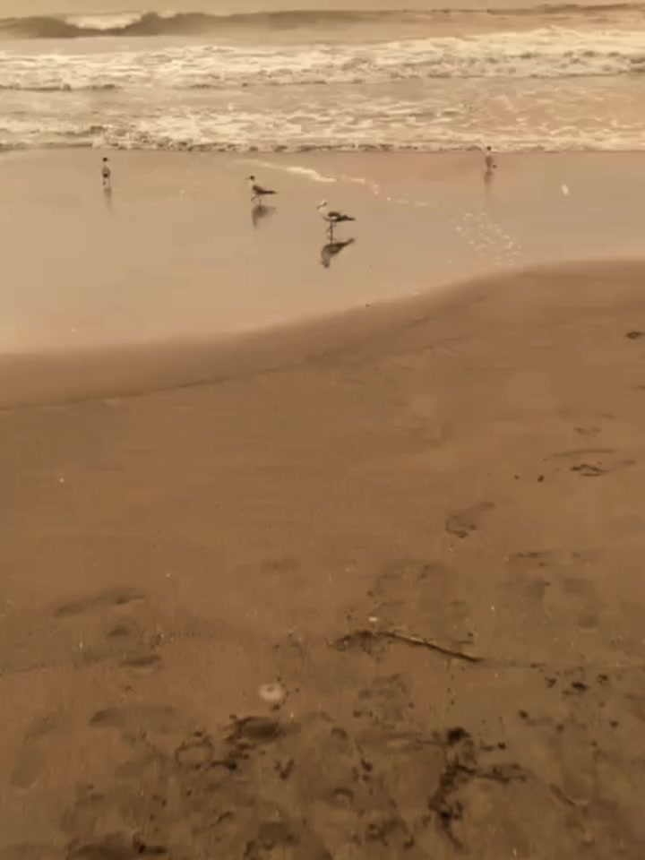 @࿊»ฬι𝔩𝕤σℕ«࿊