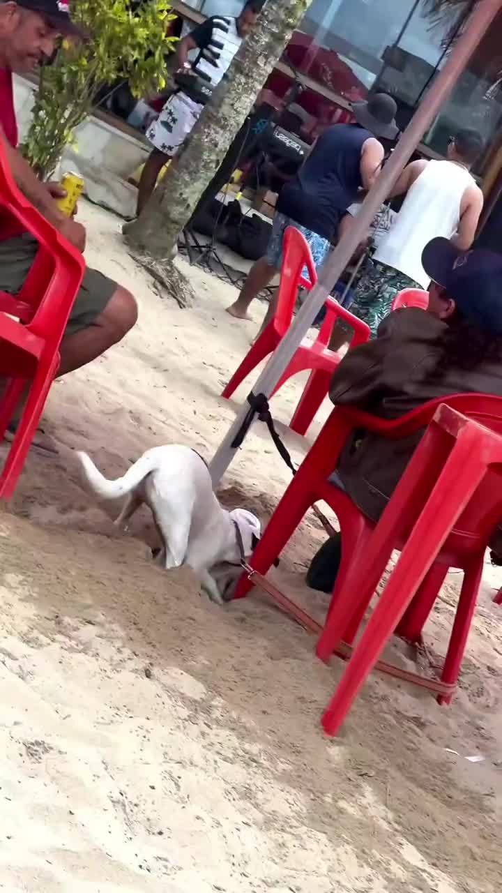 @Funny Cute