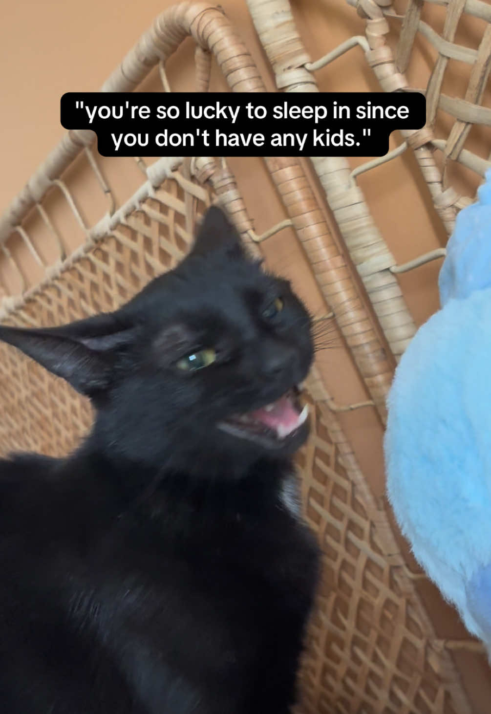 @ElaineTheCat