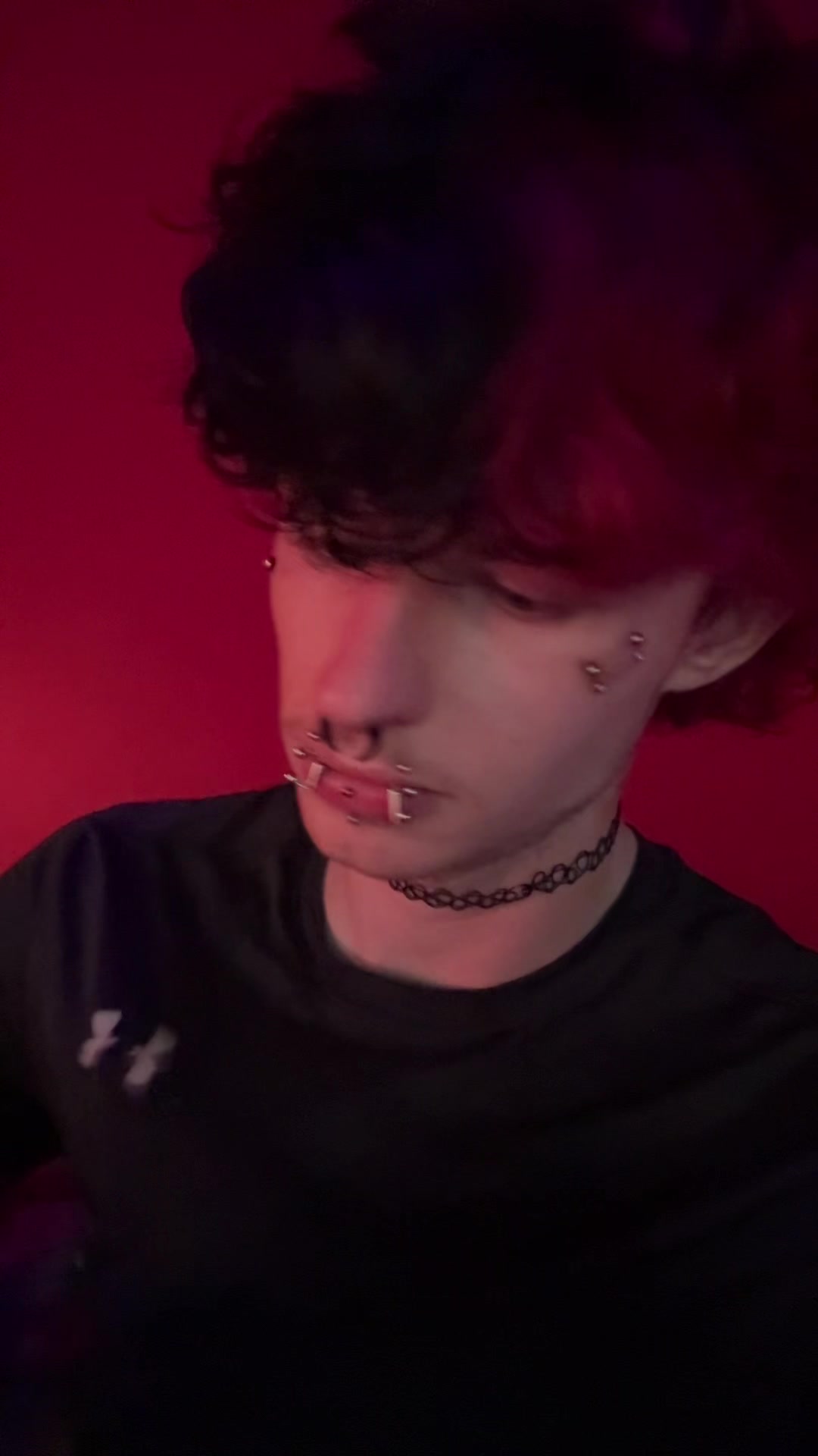 @🦇