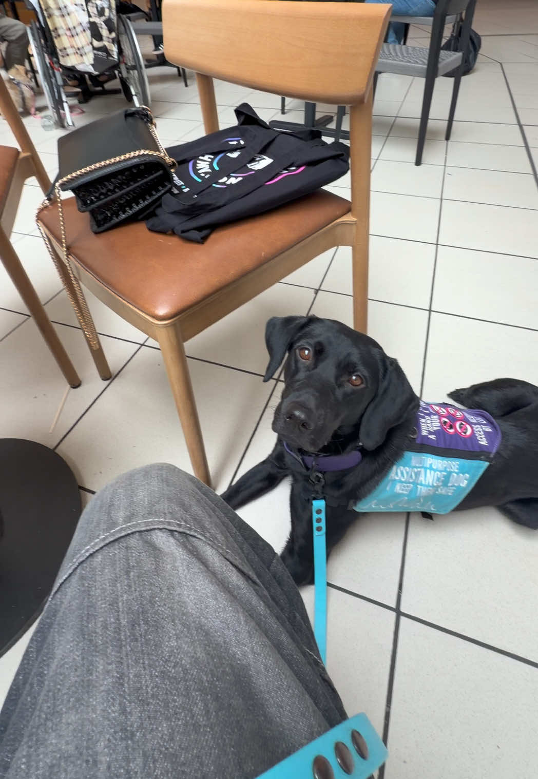 @themworkingdogs🏴