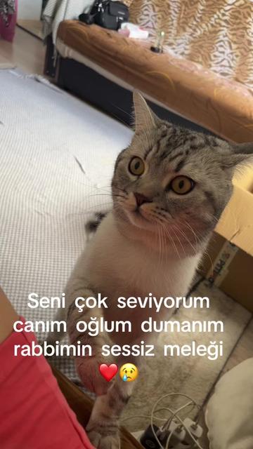 @✋ATARLI_HATUN_20