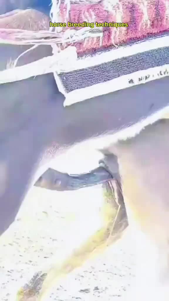 @๐๐๐๐ฅ๐๐๐ ๐๐๐๐๐๐๐
