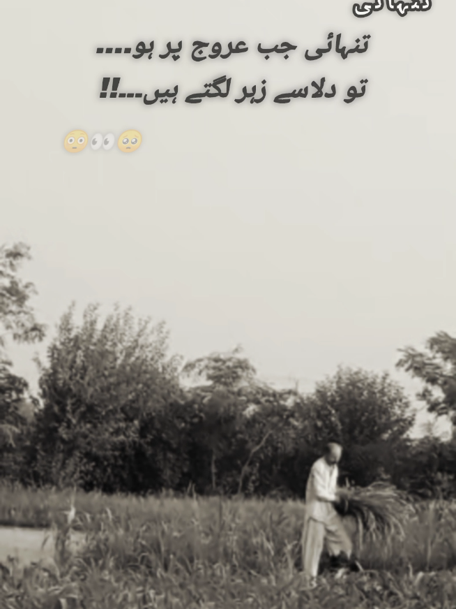 @𓆩⍣⃝𝙏𝙖𝙮𝙖𝙗 𝙎𝙞𝙗𝙩𝙖𝙞𝙣࿐