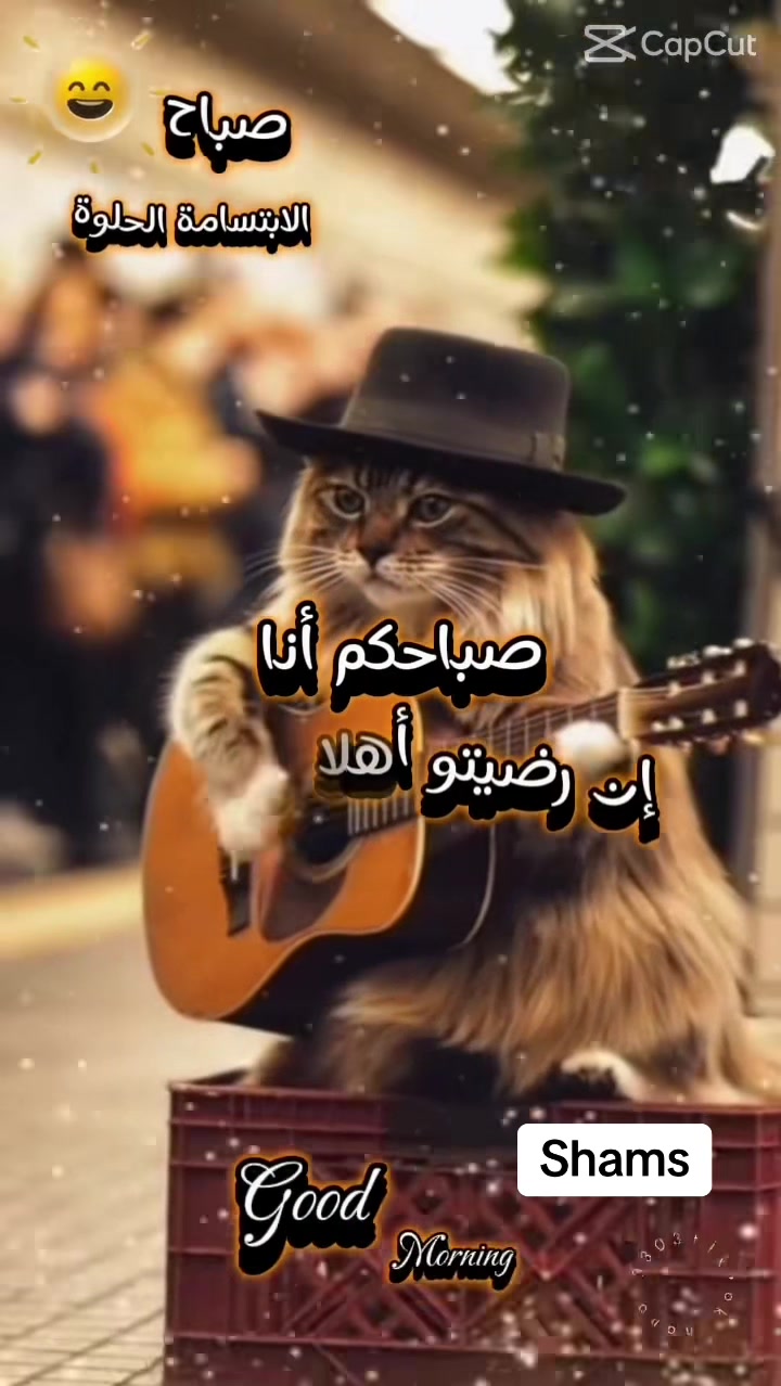 @Shams