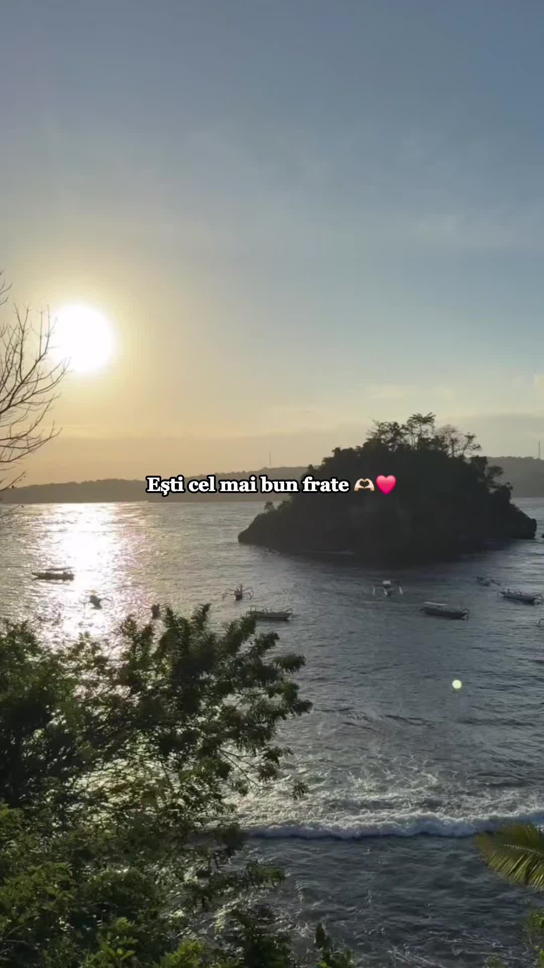 @Crișan Bogdan