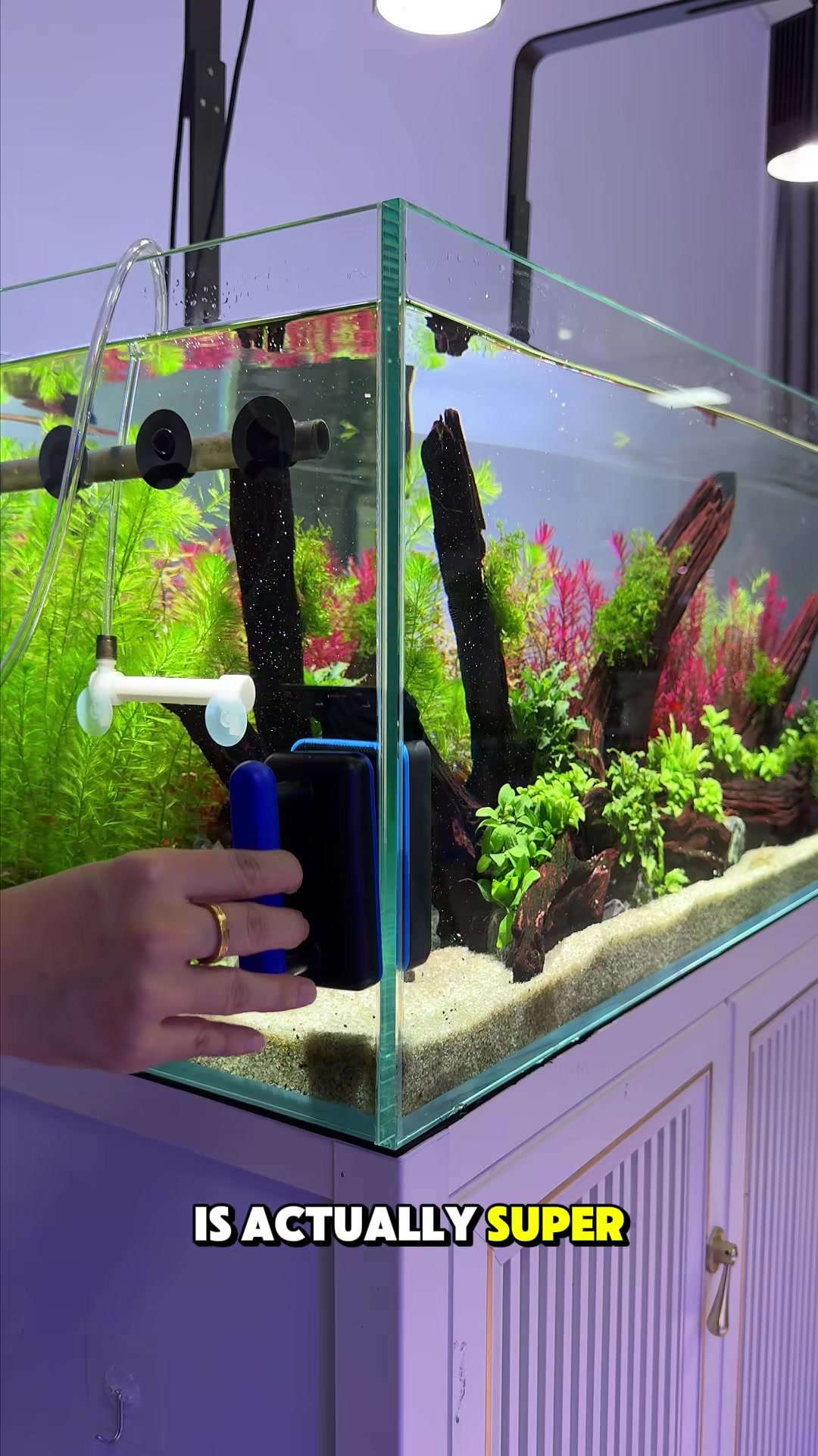 @AQQA Aquarium Store