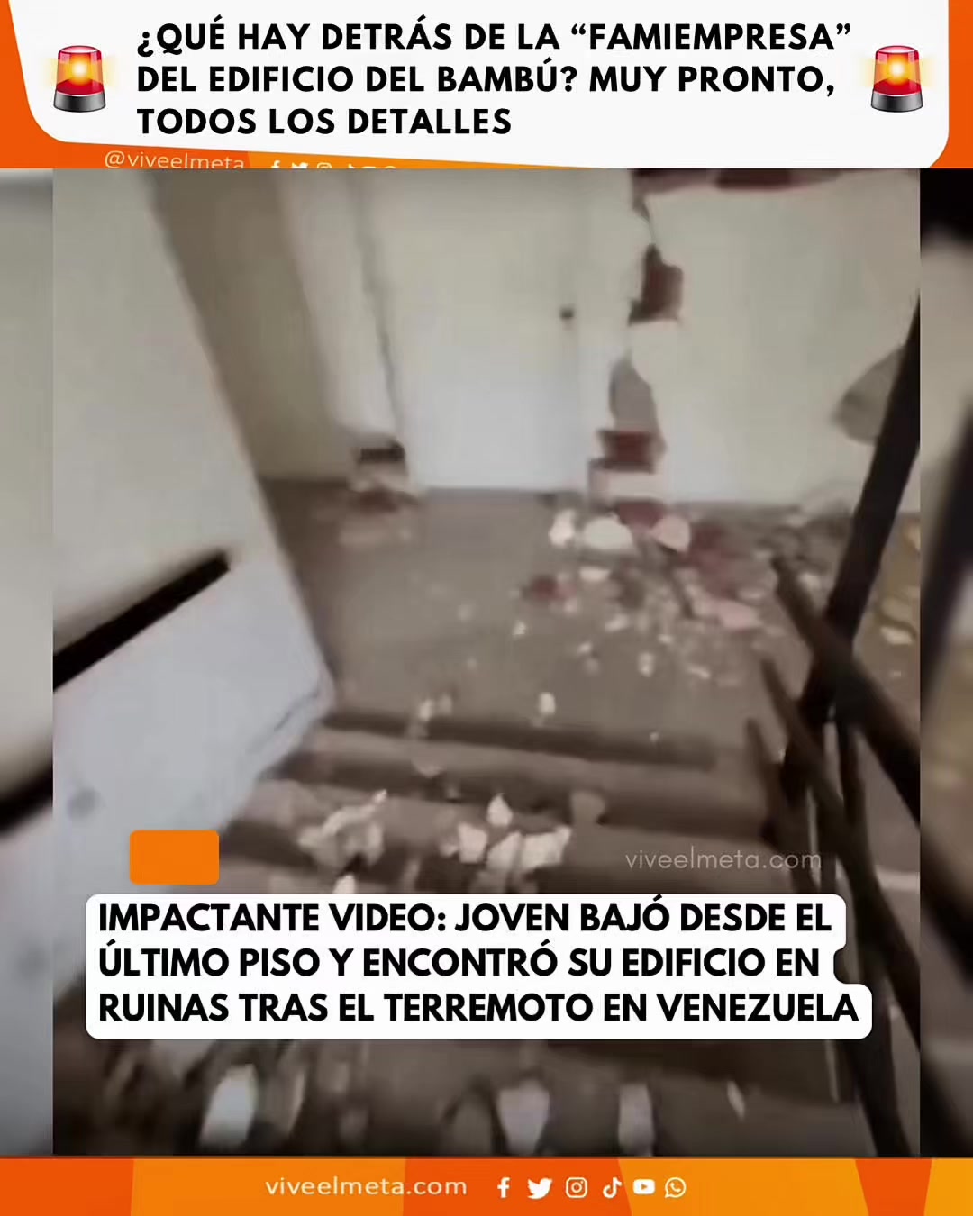 @viveelmeta.com