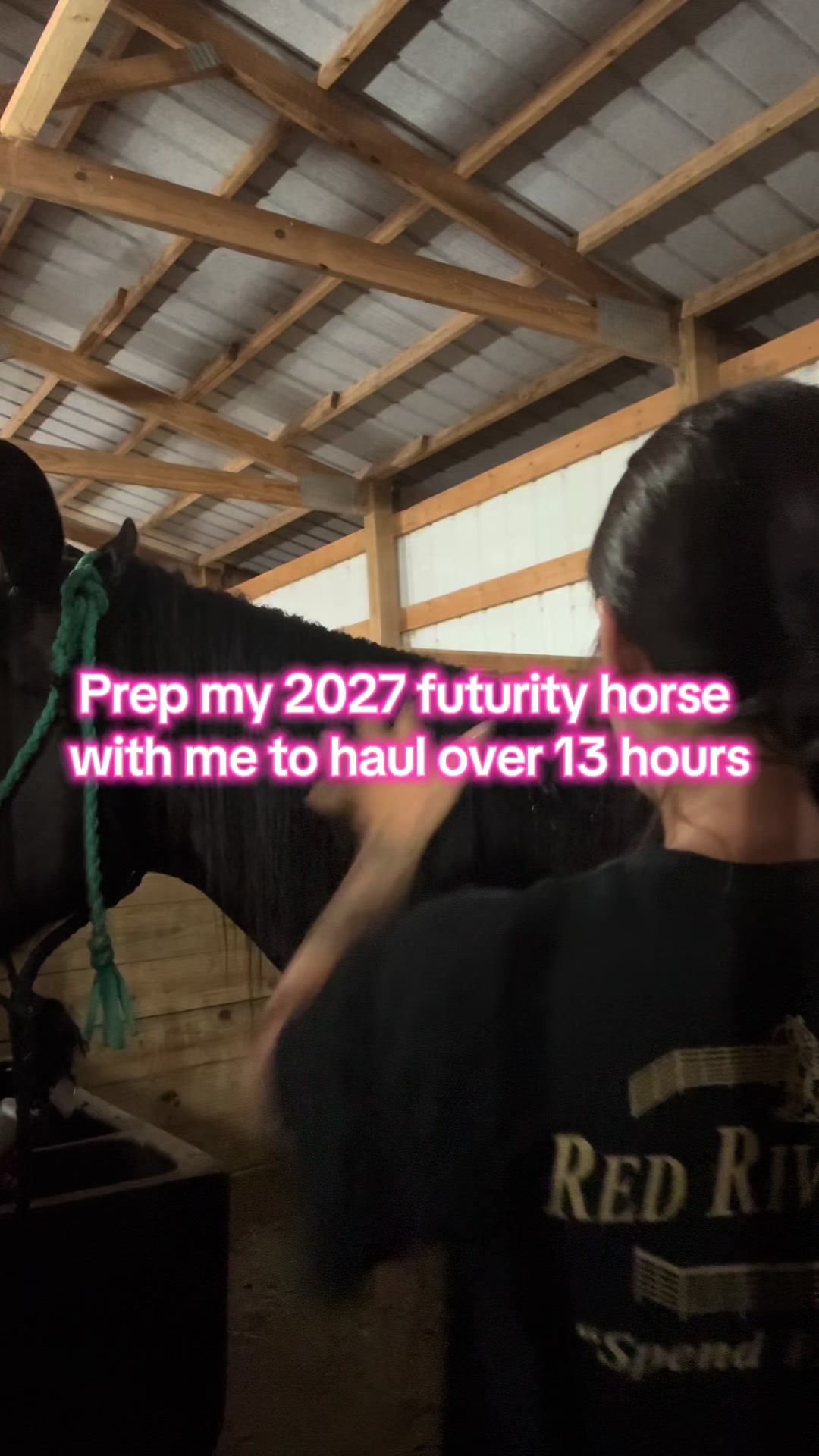 @Living Lucky Quarter Horses