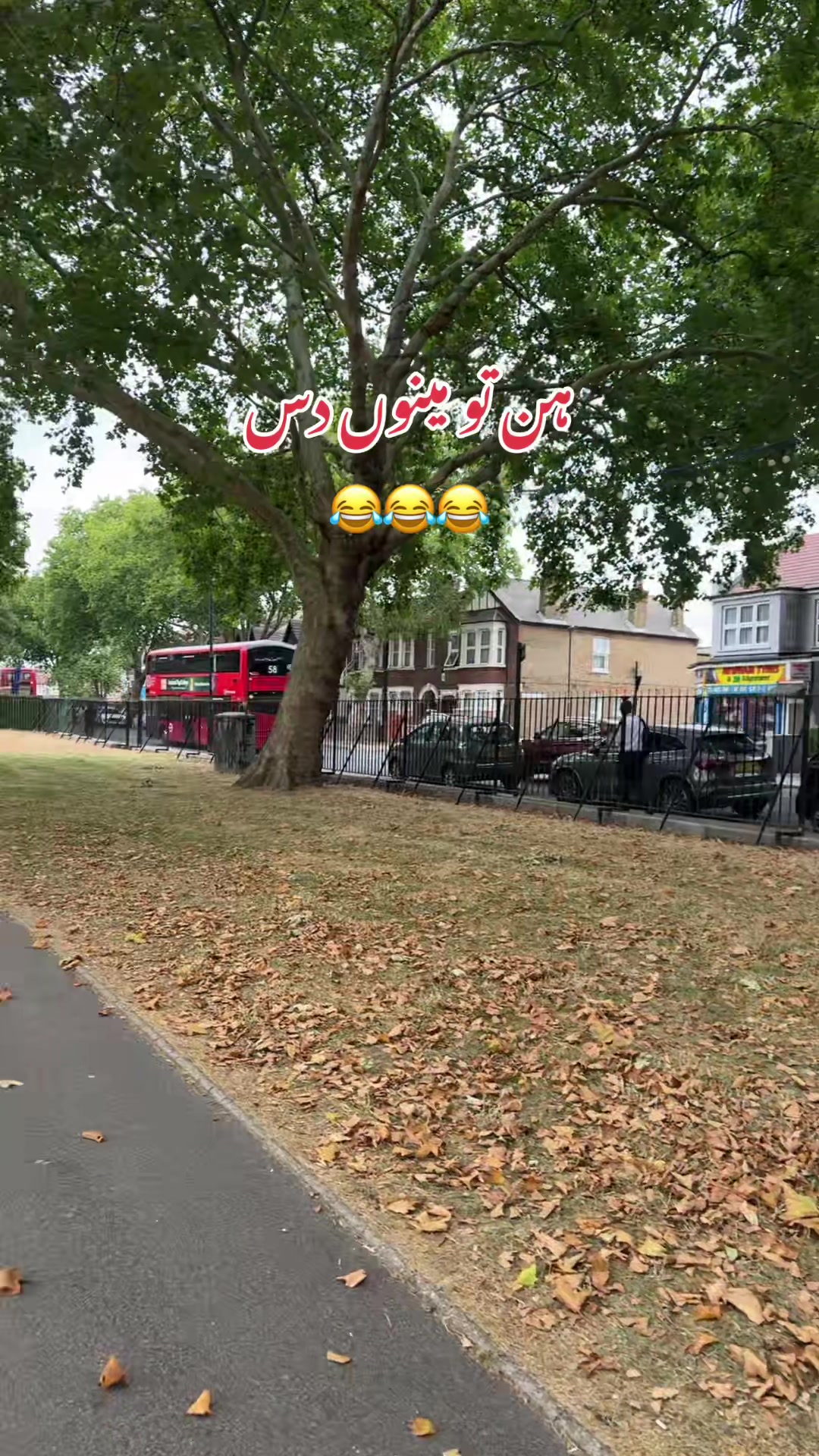 @Mehreen_Ahmed