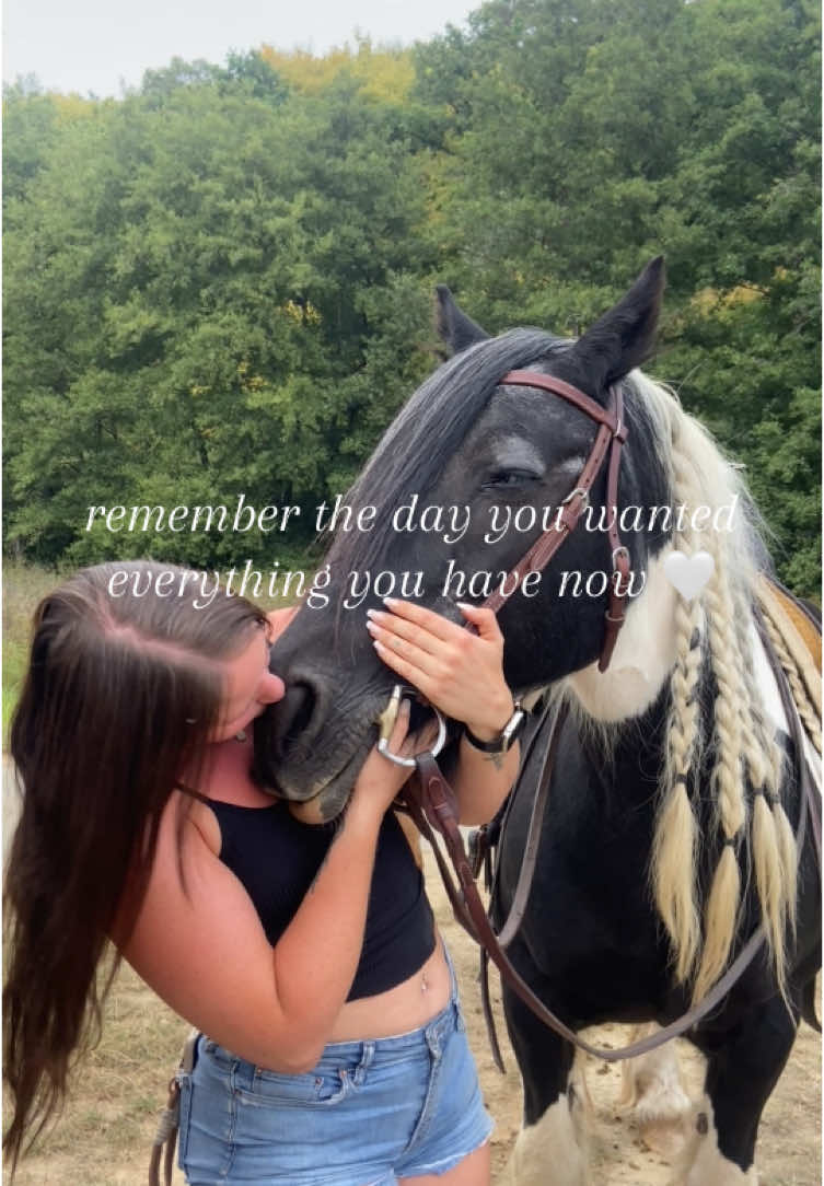@Sina Nestler