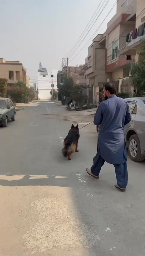 @Asad Khan