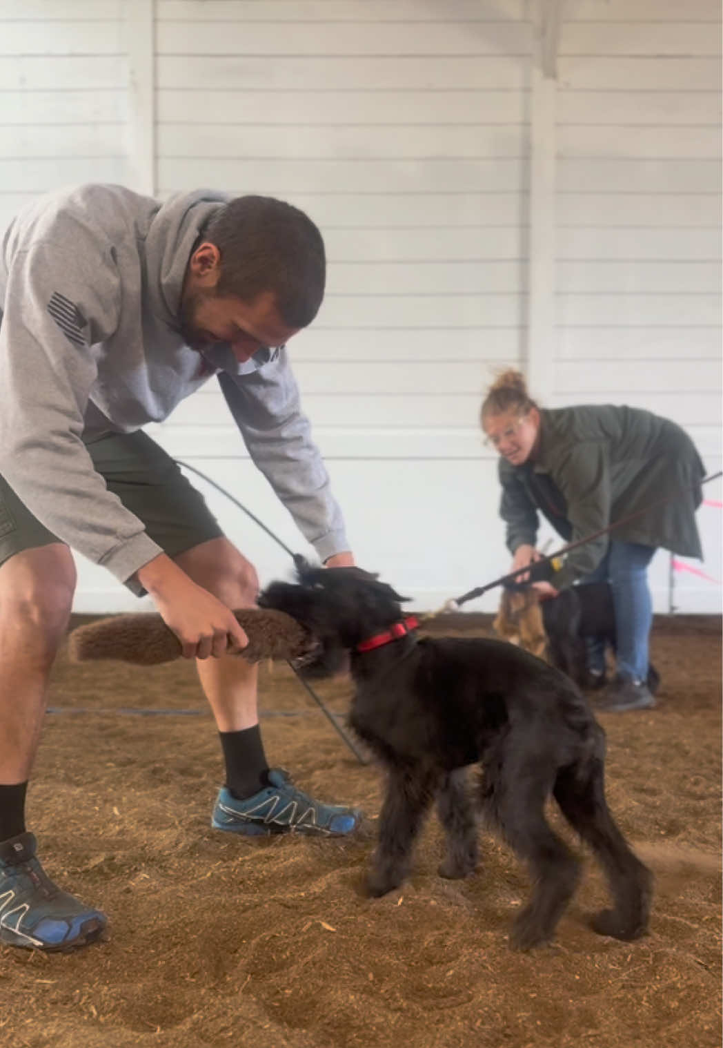 @Protection Dog Sales