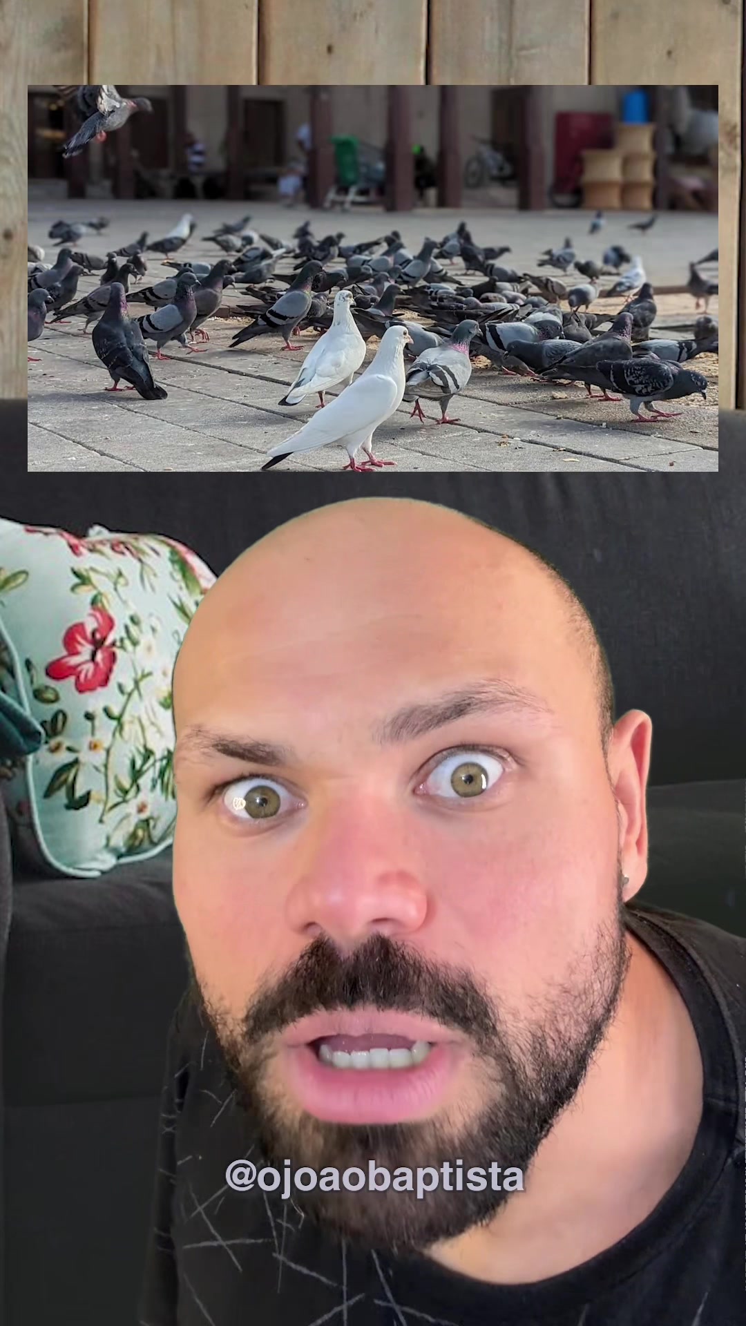 @João Baptista