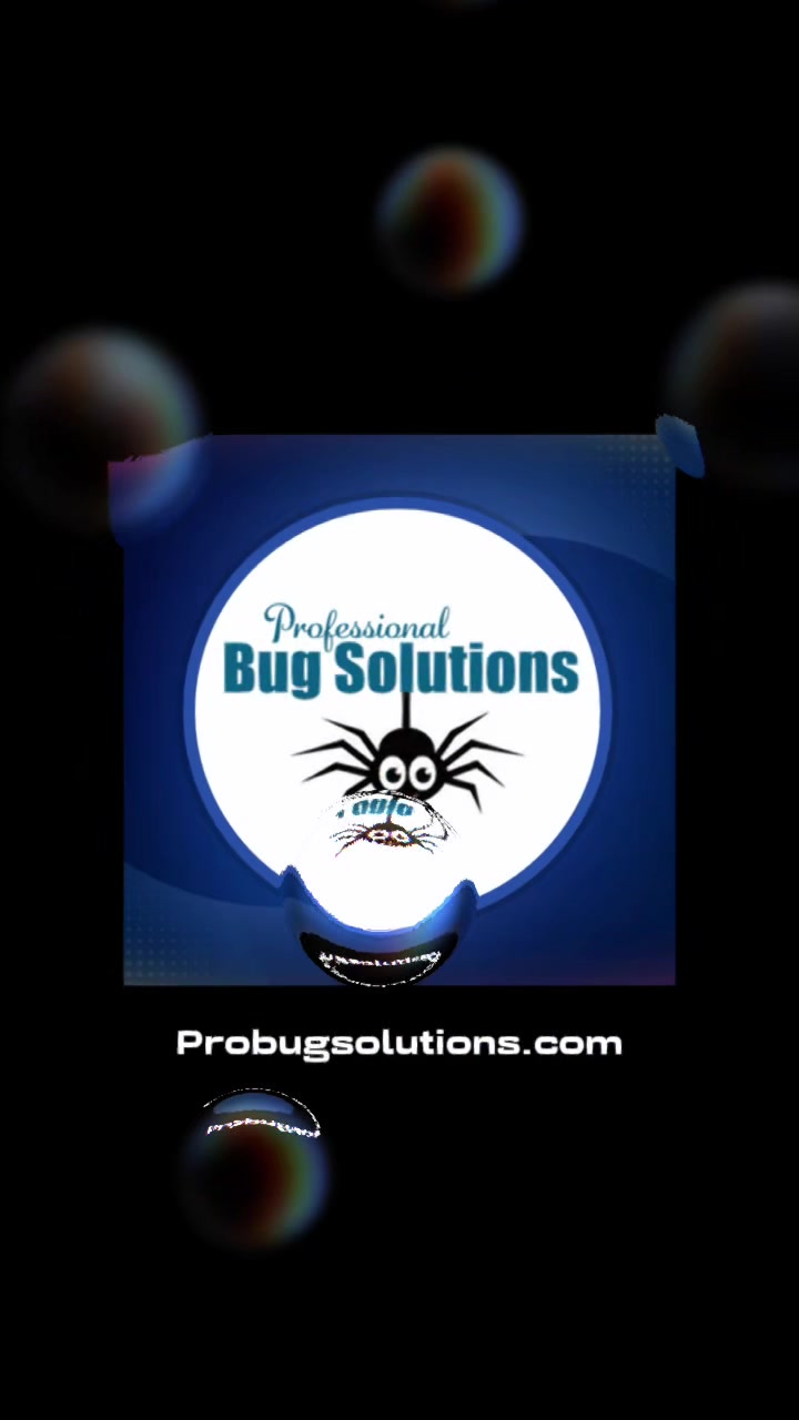 @ProBugSolutions