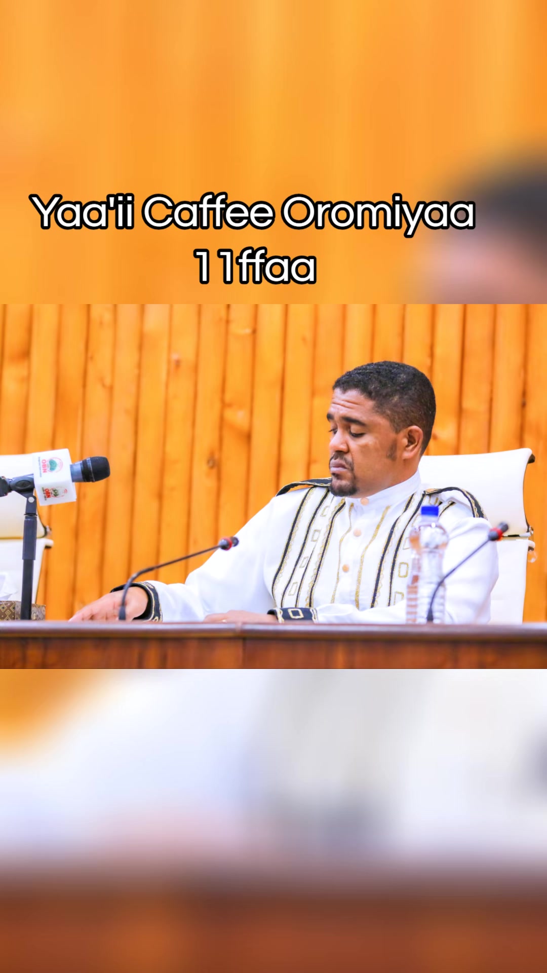 @Shimallis Abdisa Parody