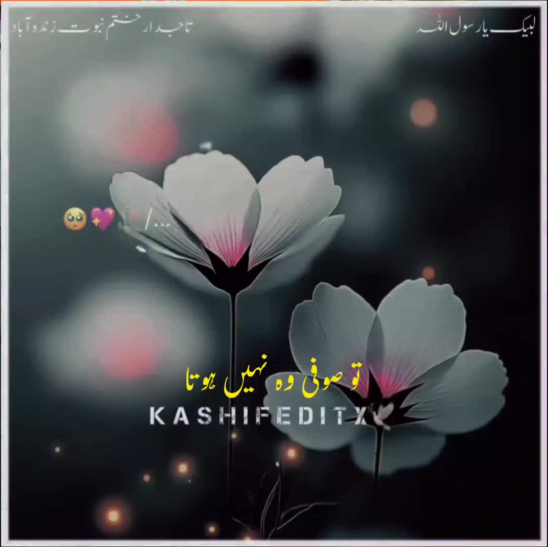 @user65071186465