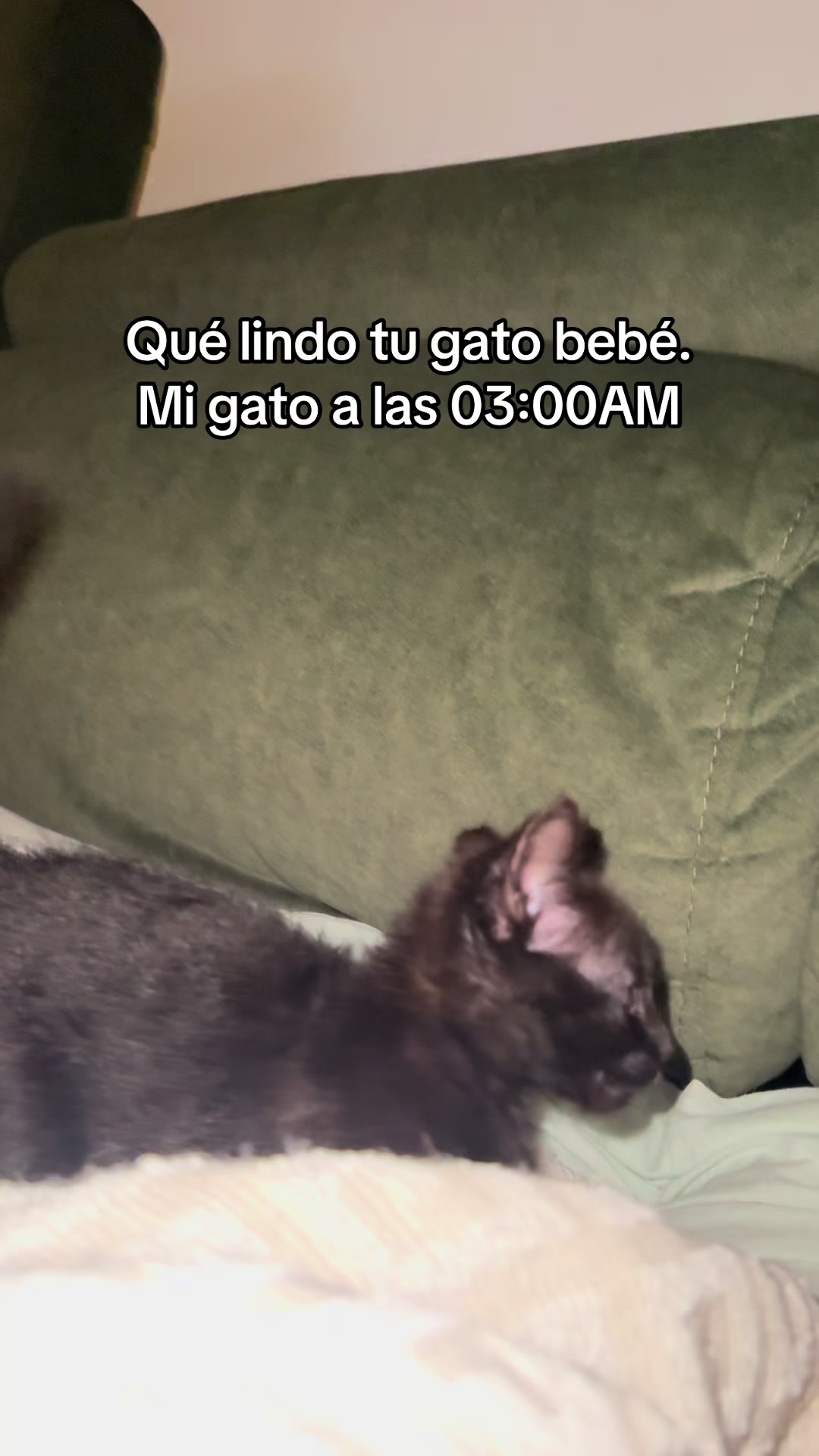 @lorena Castillo