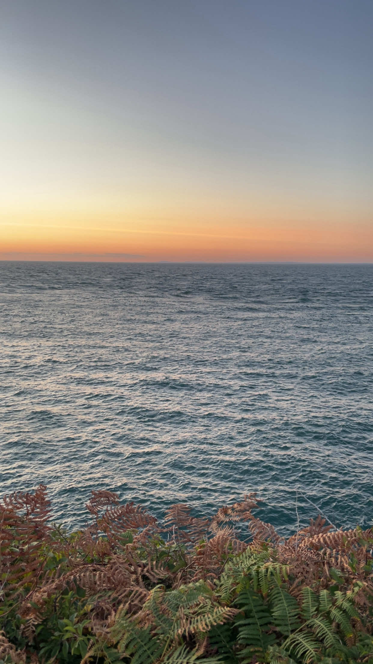 @𝓉𝓇𝓊𝒹𝒾.𝓈𝓅𝒶𝓂