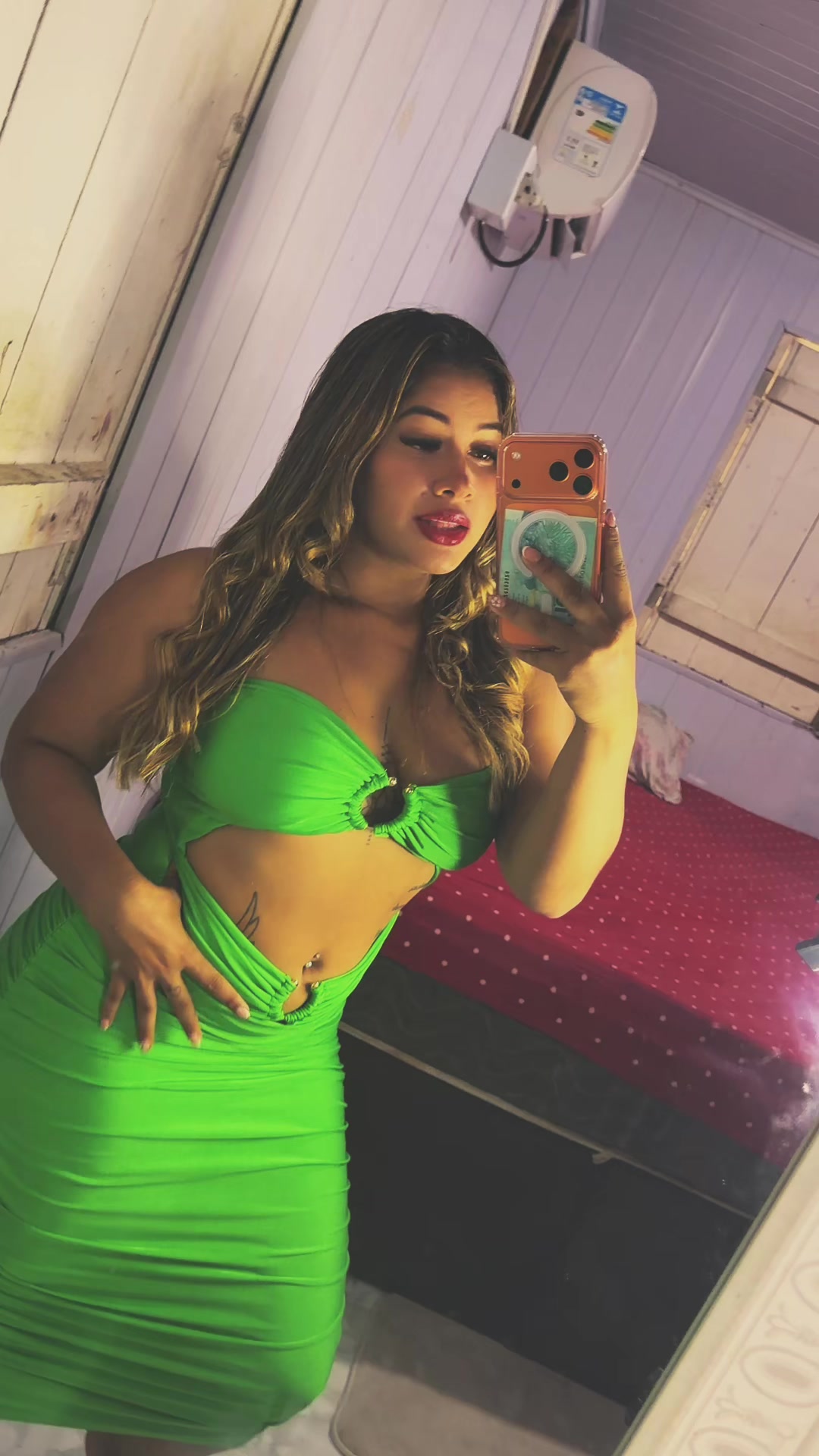 @sillvanagomes721